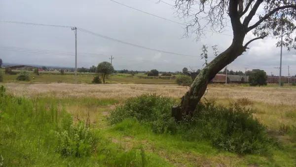 VENTA DE TERRENO INDUSTRIAL,CERCA CARRETERA