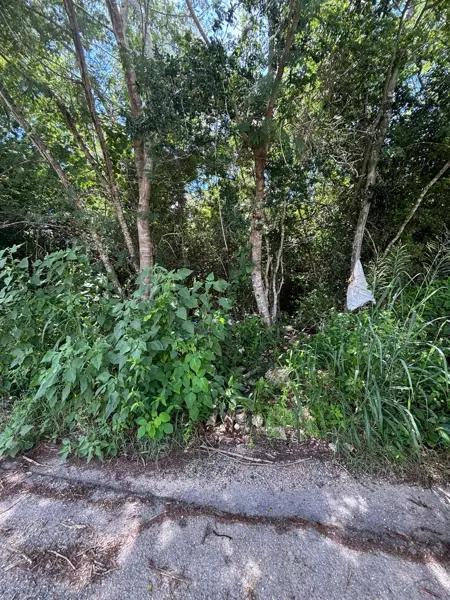 terreno en venta terreno en venta