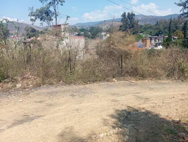 TERRENO EN VENTA EN COLONIA 3 MAYO