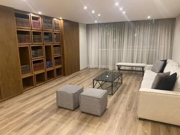 VENTA PRECIOSO DEPARTAMENTO REMODELADO 300 mts. HOMERO-POLANCO 1 VENTA PRECIOSO DEPARTAMENTO REMODELADO 300 mts. HOMERO-POLANCO 1