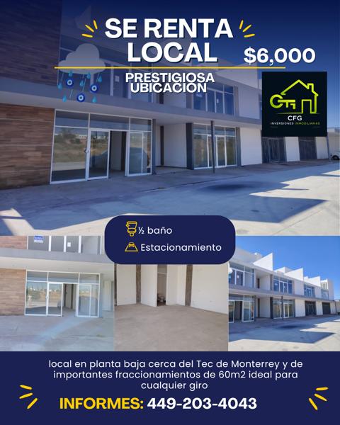 LOCAL EN RENTA PB TERRABIT