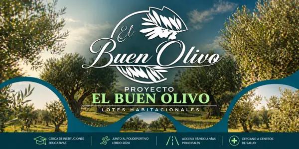 TERRENO RESIDENCIAL EN EL BUEN OLIVO, LERDO DURANGO.