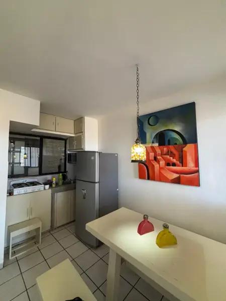 DEPARTAMENTO AMUEBLADO EN RENTA POR SUBURBIA, IRAPUATO