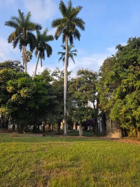 Exclusivos terrenos dentro de la Exhacienda de Oacalco