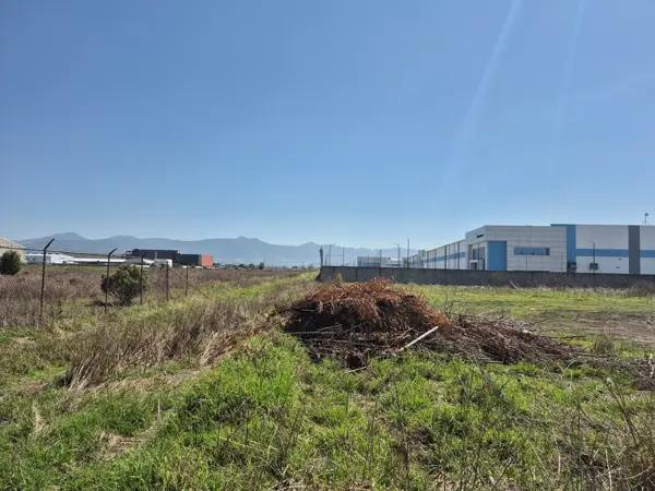 Terreno industrial 1 hectarea