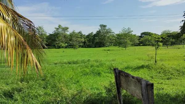 Terreno en venta en Santa Adelaida, Palizada, Campeche