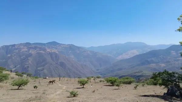 Terreno en venta en Voz Campesina (Ampliación las Minas), Llera, Tamaulipas