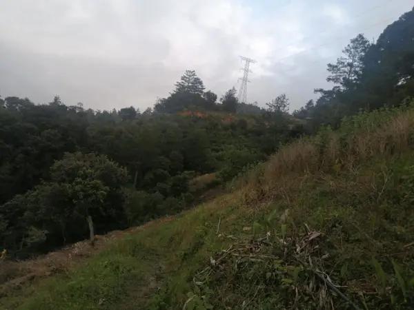 Terreno en venta en Voz Campesina (Ampliación las Minas), Llera, Tamaulipas