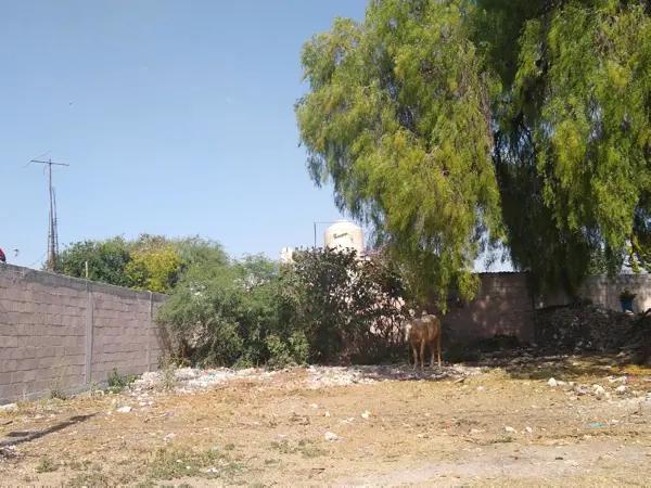 Terreno en venta en El Tablón, Atitalaquia, Hidalgo