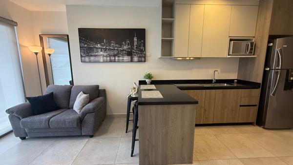 DEPARTAMENTO EN RENTA A LADO DEL RÍO SANTA LUCÍA, MONTERREY
