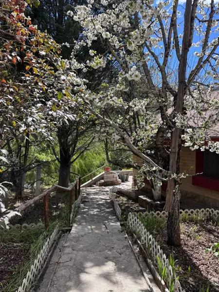 QUINTA EN VENTA MONTERREAL ARTEAGA COAH.