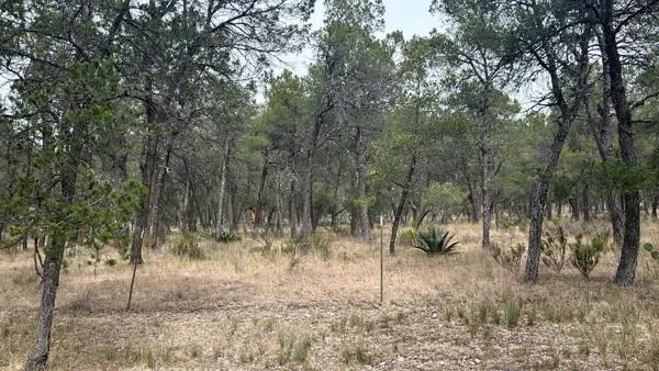 TERRENO EN VENTA ARTEAGA (1)