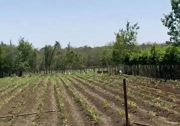 TERRENO DE  29,638 m2 EN MONTEMORELOS