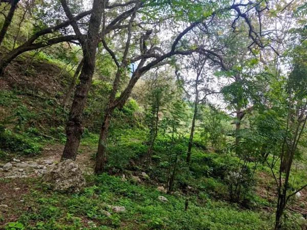 TERRENO CAMPESTRE EN VENTA SANTIAGO N.L.