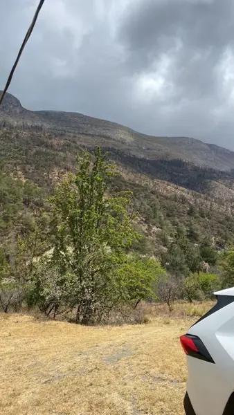 TERRENO CAMPESTRE EN LOS LIRIOS