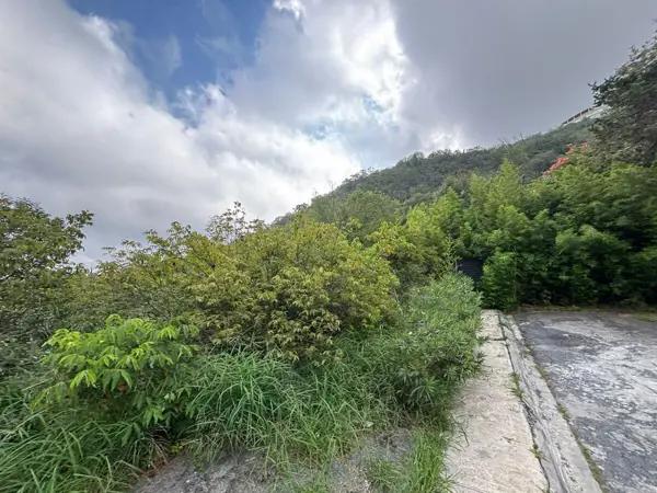 TERRENO EN VENTA VILLA MONTAÑA SAN PEDRO