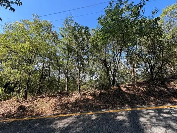 TERRENO EN VENTA PALMILLAS
