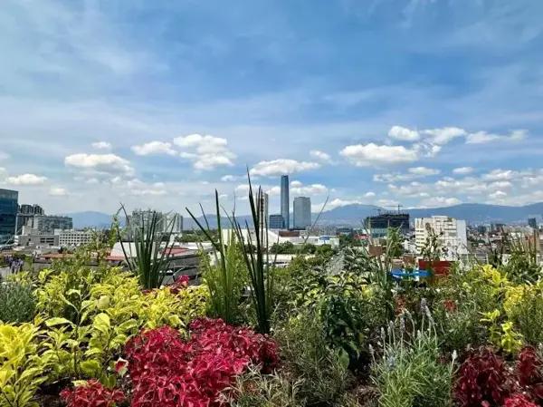 Precioso departamento
Del valle centro
Benito Juárez Precioso departamento
Del valle centro
Benito Juárez