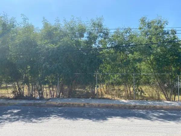 Terreno en Venta en el Centro de Pesquería, en Esquina, Ideal para Quinta, Casa o Negocio