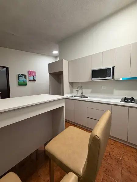 DEPARTAMENTO AMUEBLADO EN RENTA SAN NICOLAS