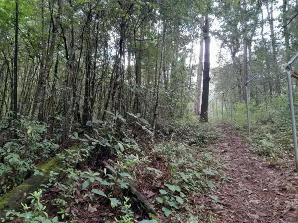 TERRENO EN VENTA CERRO GORDO.