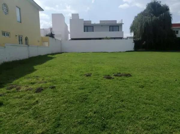 TERRENO EN VENTA EN CALIMAYA, EDO. MEXICO.