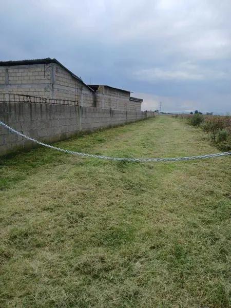 TERRENO EN VENTA EN ALMOLOYA DE JUAREZ
