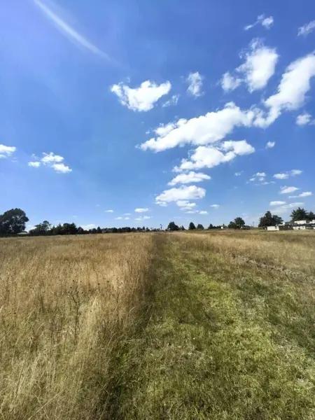TERRENO EJIDAL EN VENTA y/O RENTA, LA PALMA TOLTEPEC, TOLUCA