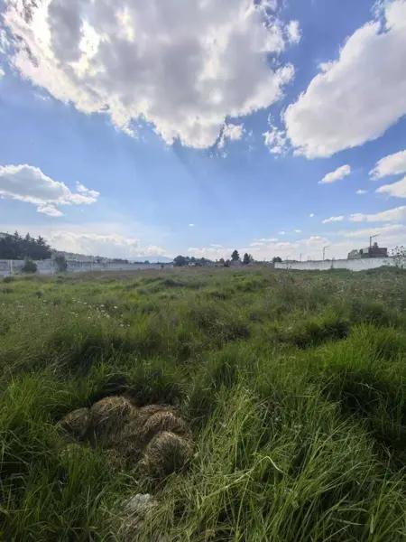TERRENO EN VENTA y/o RENTA PALMILLAS, SOBRE CARRETERA ATLACOMULCO - TOLUCA.