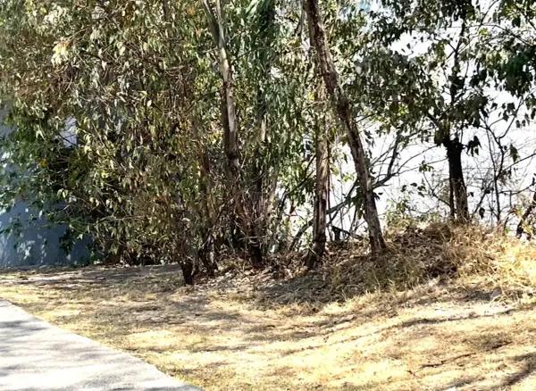 Terreno Residencial en Venta en Bosque Real, Huixquilucan