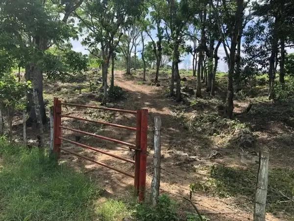 Terreno para quinta