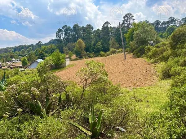 Terreno Campestre en VENTA en Omitlán de Juárez, Hgo.