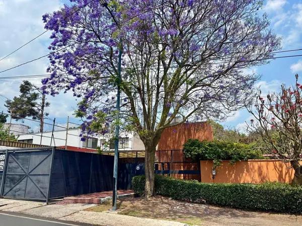 VENTA DE CASA PARA ACTUALIZAR EN SAN JERONIMO LIDICE, MAGDALENA CONTRERAS. VENTA DE CASA PARA ACTUALIZAR EN SAN JERONIMO LIDICE, MAGDALENA CONTRERAS.