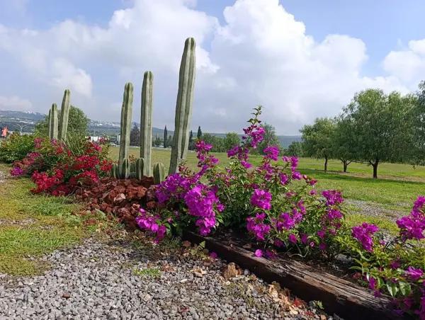 TERRENO EN VENTA EN CORREGIDORA