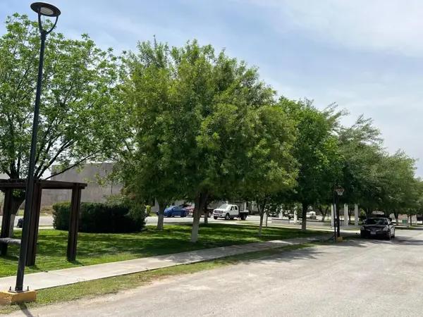 Terreno en VENTA Las Trojes Torreón a un ¡Precio inigualable! Terreno en VENTA Las Trojes Torreón a un ¡Precio inigualable!