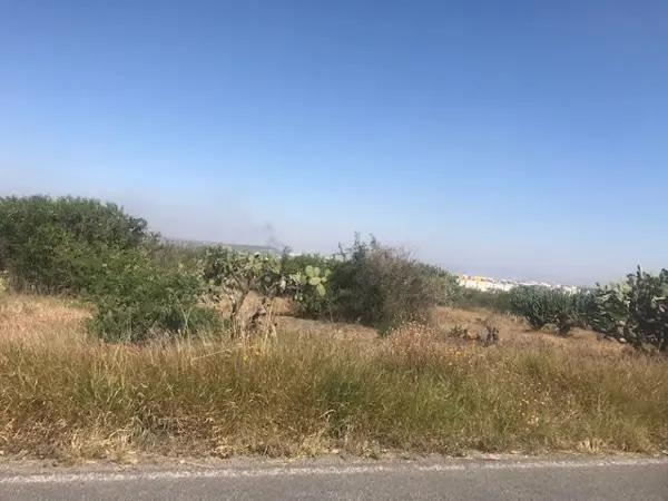 TERRENO RESIDENCIAL EN VENTA LA NORITA GUANAJUATO