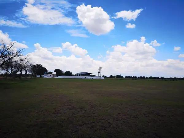 RANCHO AGRICULTOR EN VENTA  SAN MIGUEL DE ALLENDE GUANAJUATO