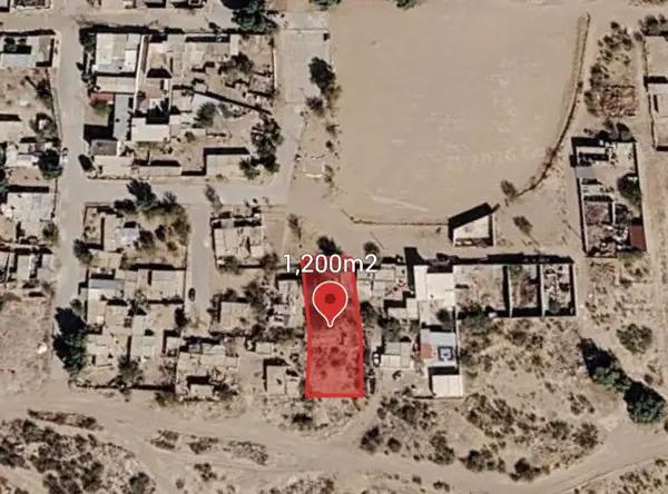 TERRENO EN VENTA EN EL OLIVO, MATAMOROS COAHUILA