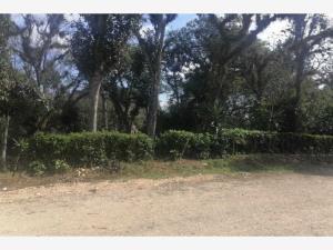 Terreno en venta en José Vasconcelos, Xalapa, Veracruz de Ignacio de la Llave
