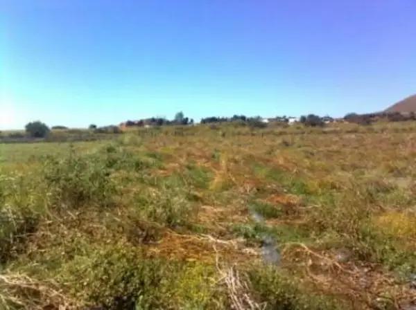 Terreno plano en venta Circuito Mexiquense
