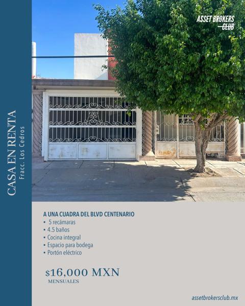 CASA EN RENTA CEDROS