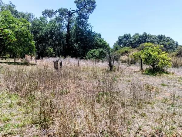 Terreno en Venta Valle de Bravo, Mesa de Jaimes