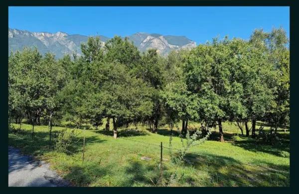 TERRENO EN VENTA ZONA  CARRETERA NACIONAL