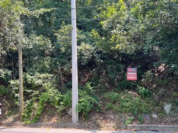Terreno Habitacional en Venta en Bosques de San Ángel Sector Palmillas, SPGG (Ascendente)
