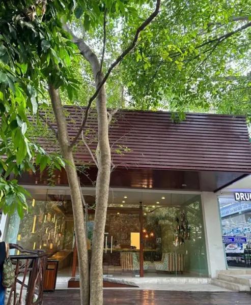 Apartamento en Venta en Playa del Carmen: Frente al Mar, con Alberca y Cocina Equipada Apartamento en Venta en Playa del Carmen: Frente al Mar, con Alberca y Cocina Equipada