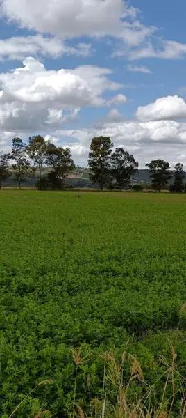 TERRENO EN VENTA CON VOCACIÓN COMERCIAL EN  CORREGIDORA QUERETARO