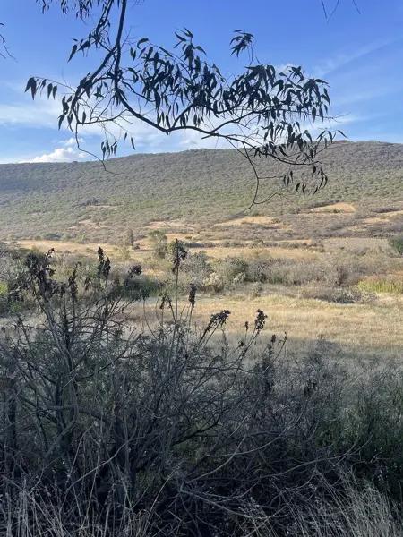 TERRENO EN VENTA ESCOLASTICAS PEDRO ESCOBEDO QUERETARO