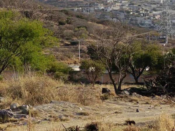 TERRENO EN VENTA PARA DESARROLLO INMOBILIARIO EN QUERETARO TERRENO EN VENTA PARA DESARROLLO INMOBILIARIO EN QUERETARO