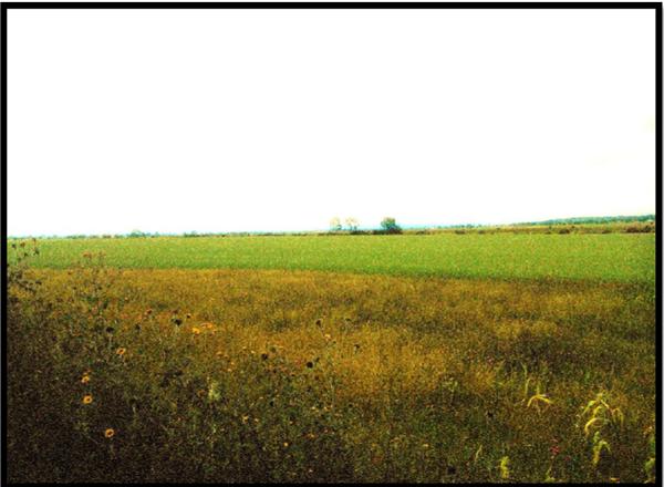 TERRENO EN VENTA EN SAN JUAN DEL RÍO QUERÉTARO. TERRENO EN VENTA EN SAN JUAN DEL RÍO QUERÉTARO.