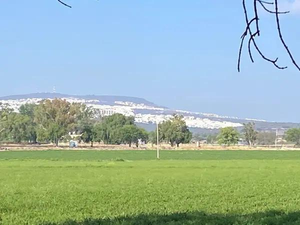 RANCHO AGRÍCOLA EN VENTA EN EL MARQUÉS QUERETARO